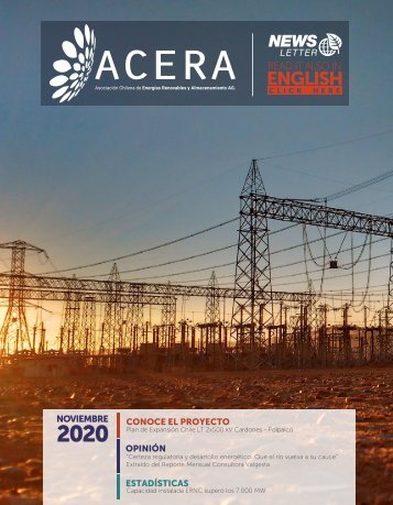 Newsletter ACERA - Noviembre 2020