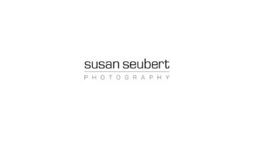 Susan Seubert Portfolio