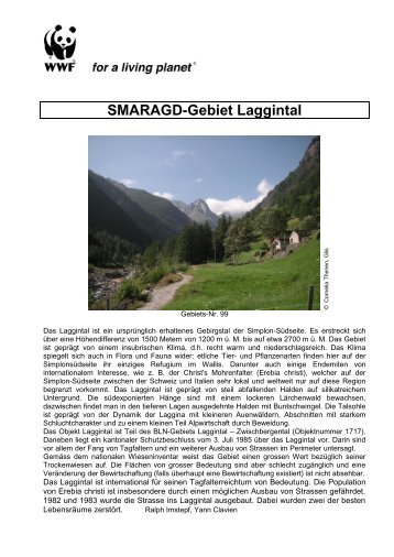 SMARAGD-Gebiet Laggintal - WWF Schweiz