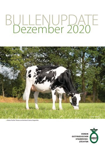 Bullenupdate Dezember 2020