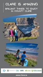 Great Reasons to Visit Clare, Mini-Guide