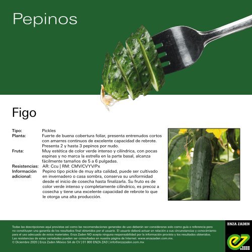 Leaflet Figo 2020