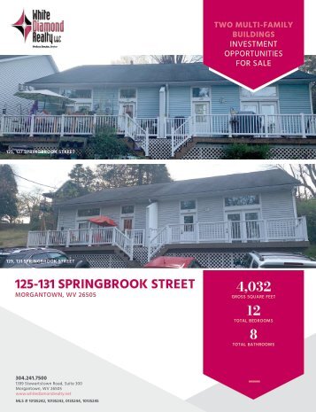 Springbrook-Street-Investment-Marketing-Flyer
