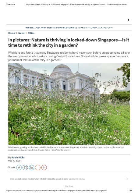 In pictures_ Nature is thriving in locked-down Singapore—is it time to rethink the city in a garden_ _ News _ Eco-Business _ Asia Pacific