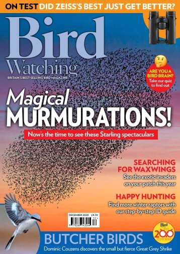 Bird Watching Dec 20 mini-mag