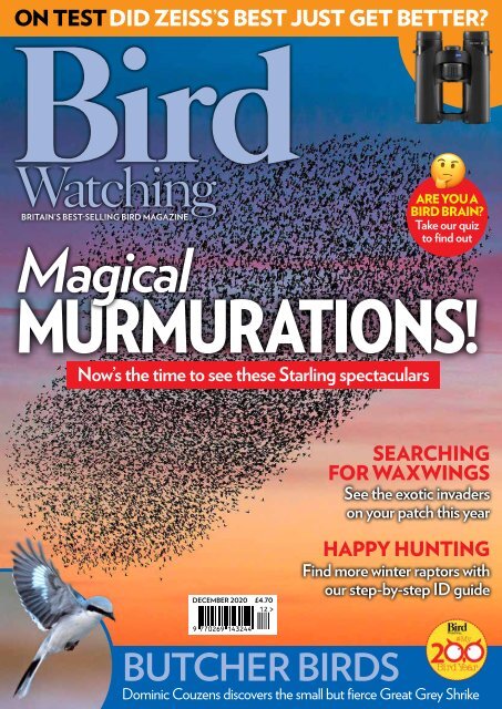 Bird Watching Dec 20 mini-mag