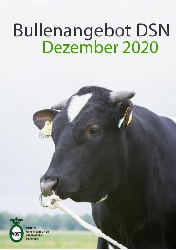 Bullenkarte DSN Dezember 2020