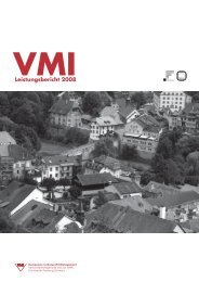 Leistungsbericht 2008 - VMI