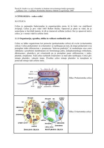 CITOLOGIJA - veda o celici