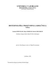 biotehnološka proizvodnja jabolčnega vina - Univerza v Ljubljani