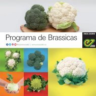 Folleto Brassicas Enza Zaden 2020