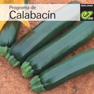 Folleto Calabacin 2020 Enza Zaden