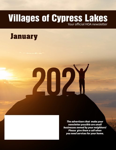 Villages of Cypress Lakes January 2021