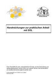 Handreichungen zur praktischen Arbeit mit SOL