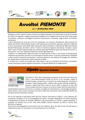 Avvoltoi Piemonte - 1 | 2020