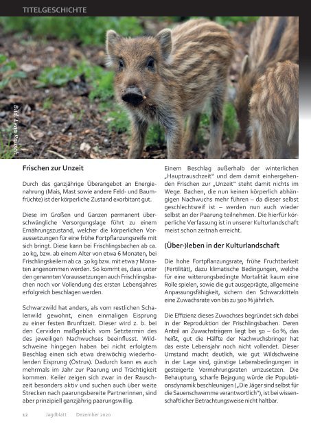 2020-04 Jagdblatt Populationsdynamik des Schwarzwildes