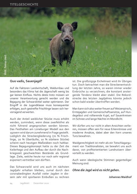 2020-04 Jagdblatt Populationsdynamik des Schwarzwildes