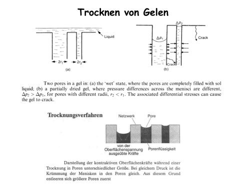 Sol-Gel-Prozess - KemnitzLab