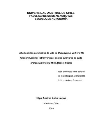 Olga Andrea León Lobos - Avocadosource.com