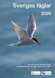 Sveriges fåglar 2020