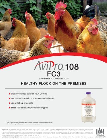 healthy flock on the premises 108 fc3 - Lohmann Animal Health