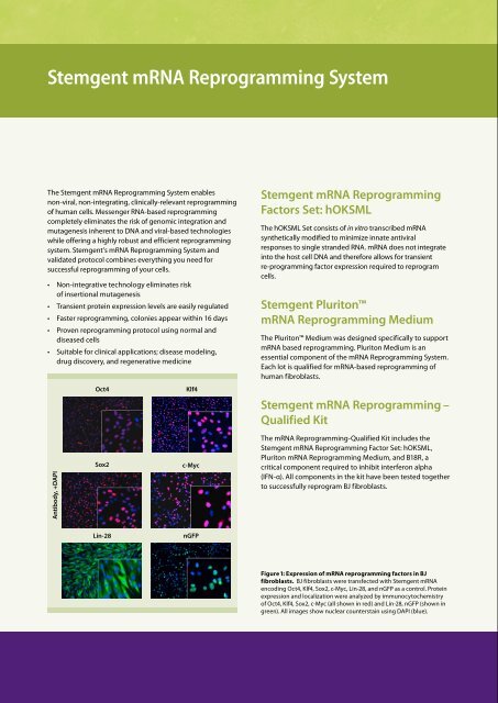 Stemgent mRNA Reprogramming System - Miltenyi Biotec