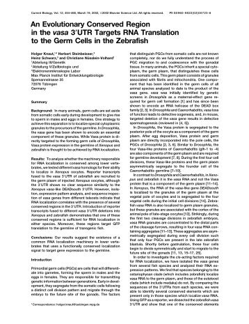 An Evolutionary Conserved Region in the vasa 3 UTR Targets RNA ...