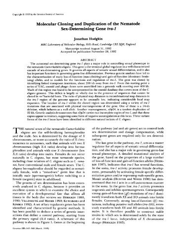 Molecular Cloning and Duplication of the Nematode Sex ... - Genetics