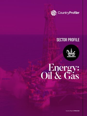 Oil & Gas Sector Cyprus