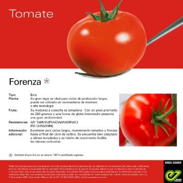 Leaflet Forenza 2020