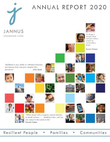 Jannus Annual Report 2020