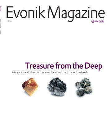 Evonik magazine 1/2008