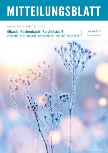 Nürnberg-Eibach/Reichelsdorf/Röthenbach - Januar 2021