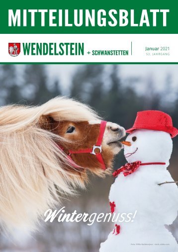 Wendelstein+Schwanstetten - Januar 2021