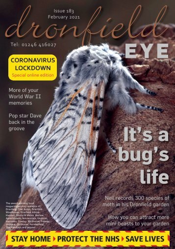 Dronfield Eye February 2020 issue 183