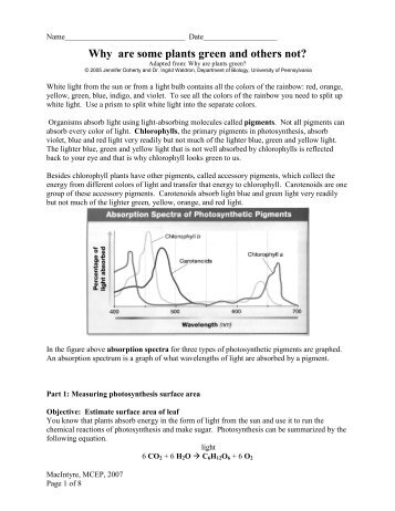 Why are some plants green and others not? - University of ...