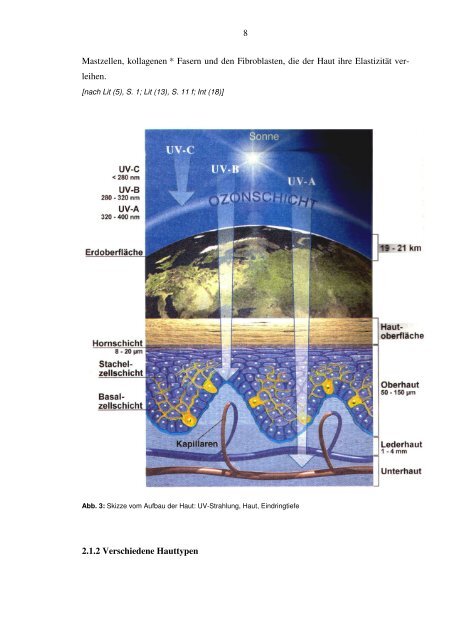 Facharbeit Auswirkungen von UV-Strahlung auf den Menschen