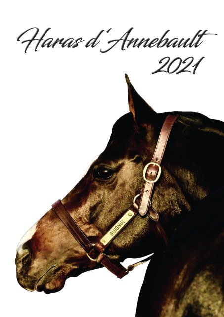 Haras d'Annebault Etalons 2021 avec FIGHTING IRISH (nouveau en 2021)