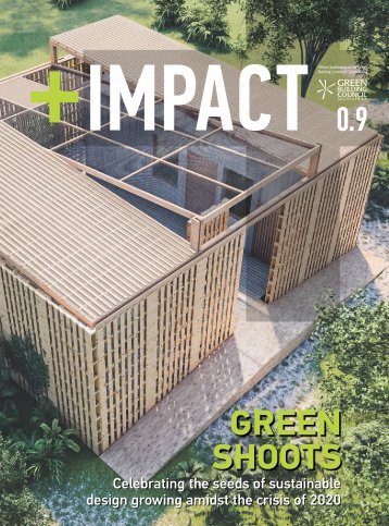 POSITIVE IMPACT ISSUE 0.9