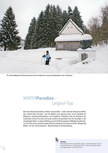 Waldgeist Winter 2021