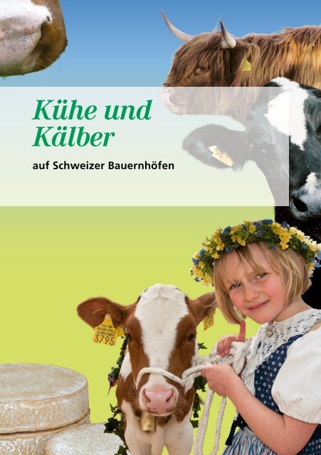 Kühe und Kälber