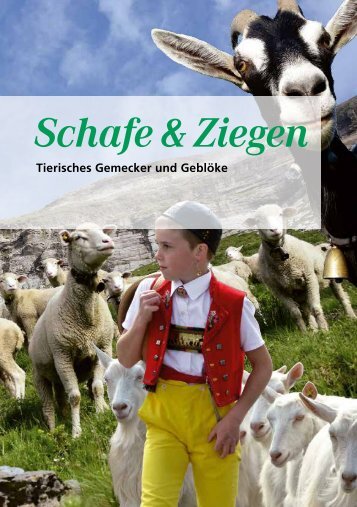 Schafe und Ziegen