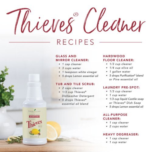 Thieves Cleaner Recipes