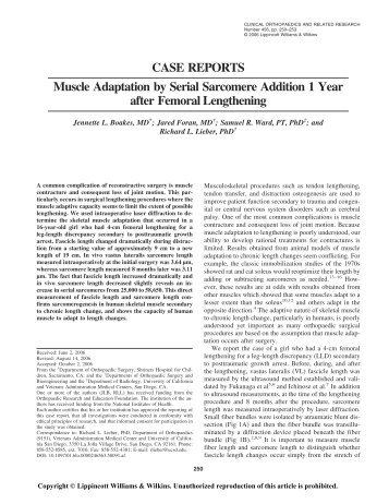 Muscle Adaptation by Serial Sarcomere Addition 1 Year