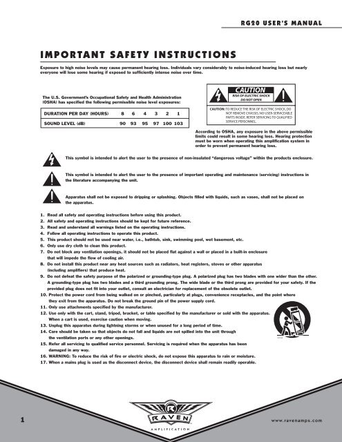 RG20 USER'S MANUAL 20 WATT GUITAR AMP - Raven Amps