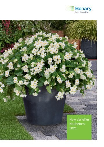 New Varieties 2021 / Neuheiten 2021 by Benary