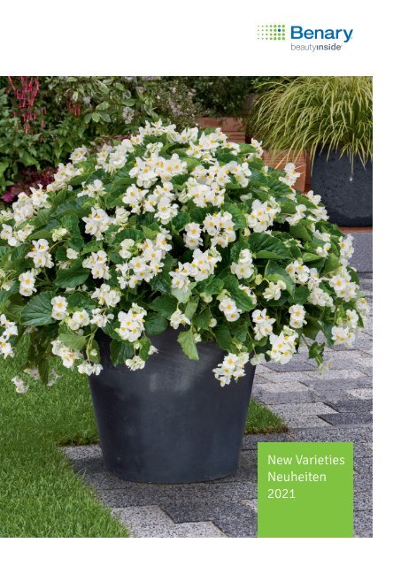 New Varieties 2021 / Neuheiten 2021 by Benary