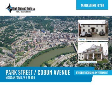 Park Street and Cobun Avenue Marketing Flyer