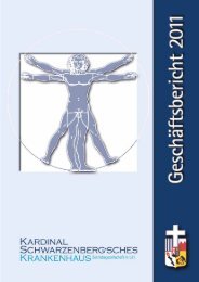 Geschäftsbericht 2011 - Kardinal Schwarzenberg'sches ...