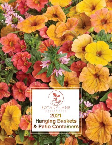 2021 Hanging Baskets and Patio Containers